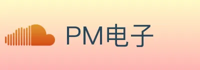 PM电子 logo